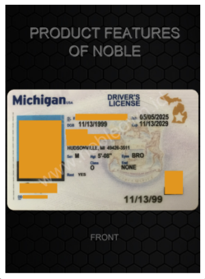 Michigan (New MI)