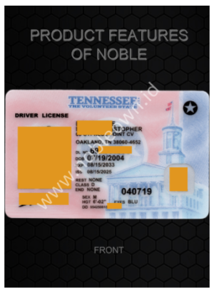 Tennessee (New TN 2025)