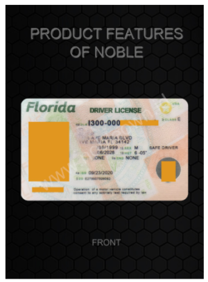 Florida (New FL)